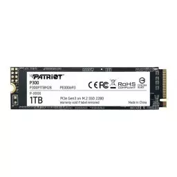 اس اس دی پاتریوت P300 M.2 2280 NVMe PCIe 1TB